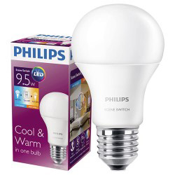 Светодиодная лампа (Шар) Philips E27, 48W, 2700K