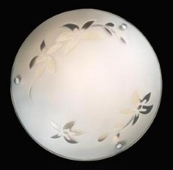 Настенно-потолочный светильник СОНЕКС белый (BS000915489)